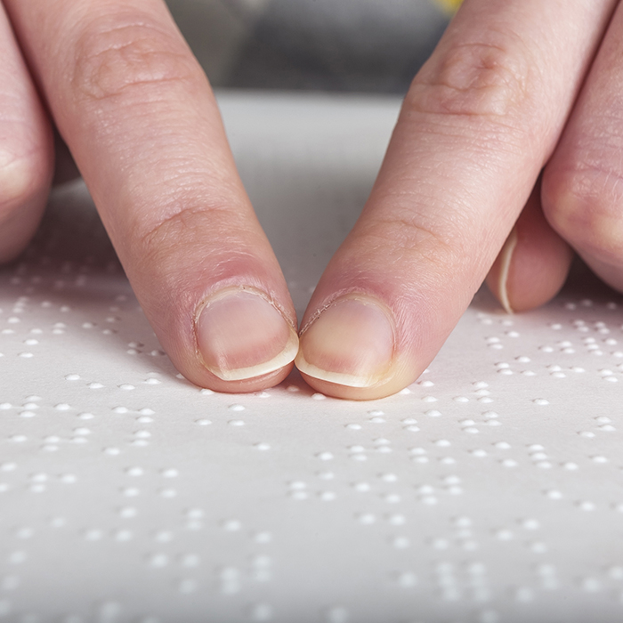 Braille Bible