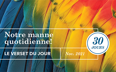 Notre manne quotidienne