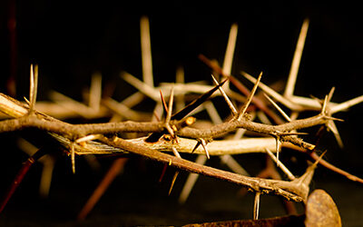 Lent Devotional | Good Friday: Hope in Sorrow