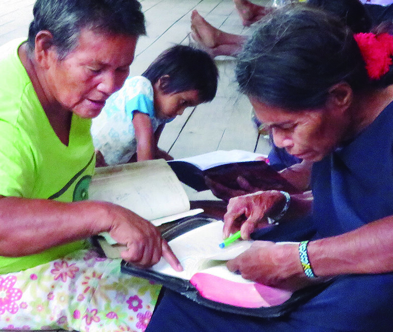 PERU: Matsigenka Bible Translation and Revision