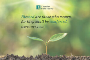 Sympathy - Matthew 5:4