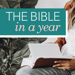 Through the Bible in a Year