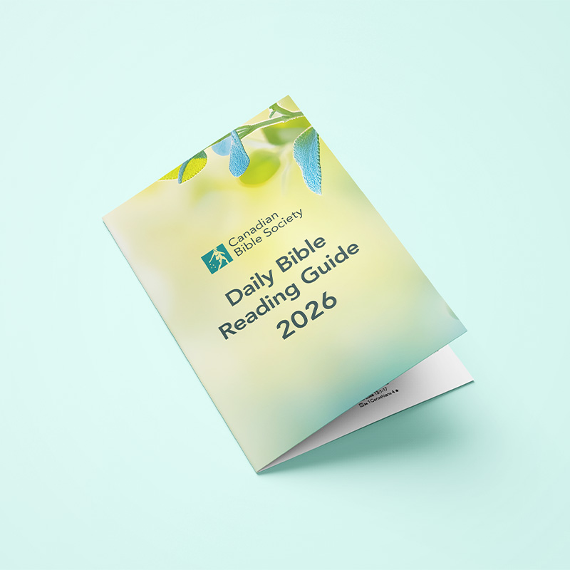 2026 Daily Bible Reading Guide
