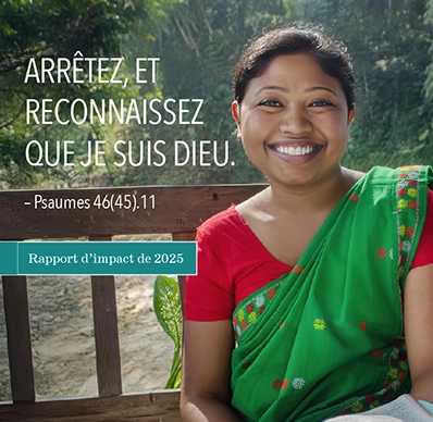 Rapport d’activités