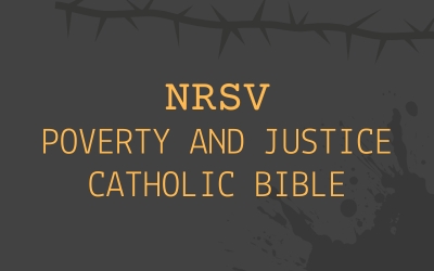 NRSV - Poverty and Justice Bible (Catholic edition)