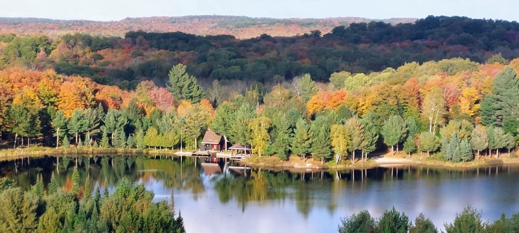 The Magnetawan forest Paul lovingly stewarded for decades