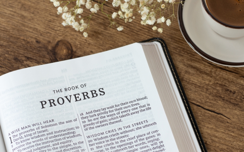 Wisdom literature 